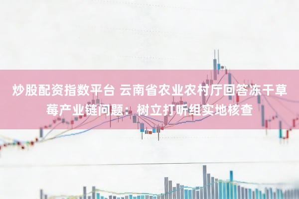 炒股配资指数平台 云南省农业农村厅回答冻干草莓产业链问题：树立打听组实地核查